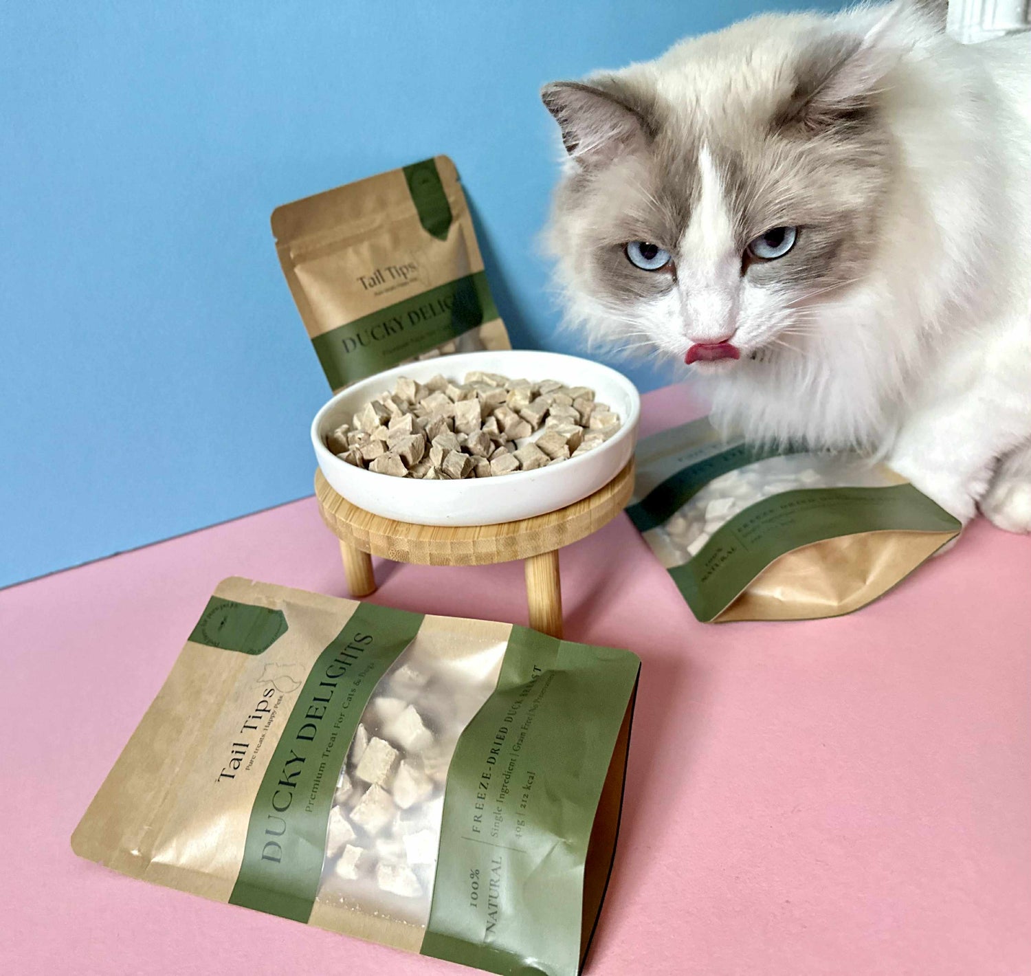 Cat Food & Treats
