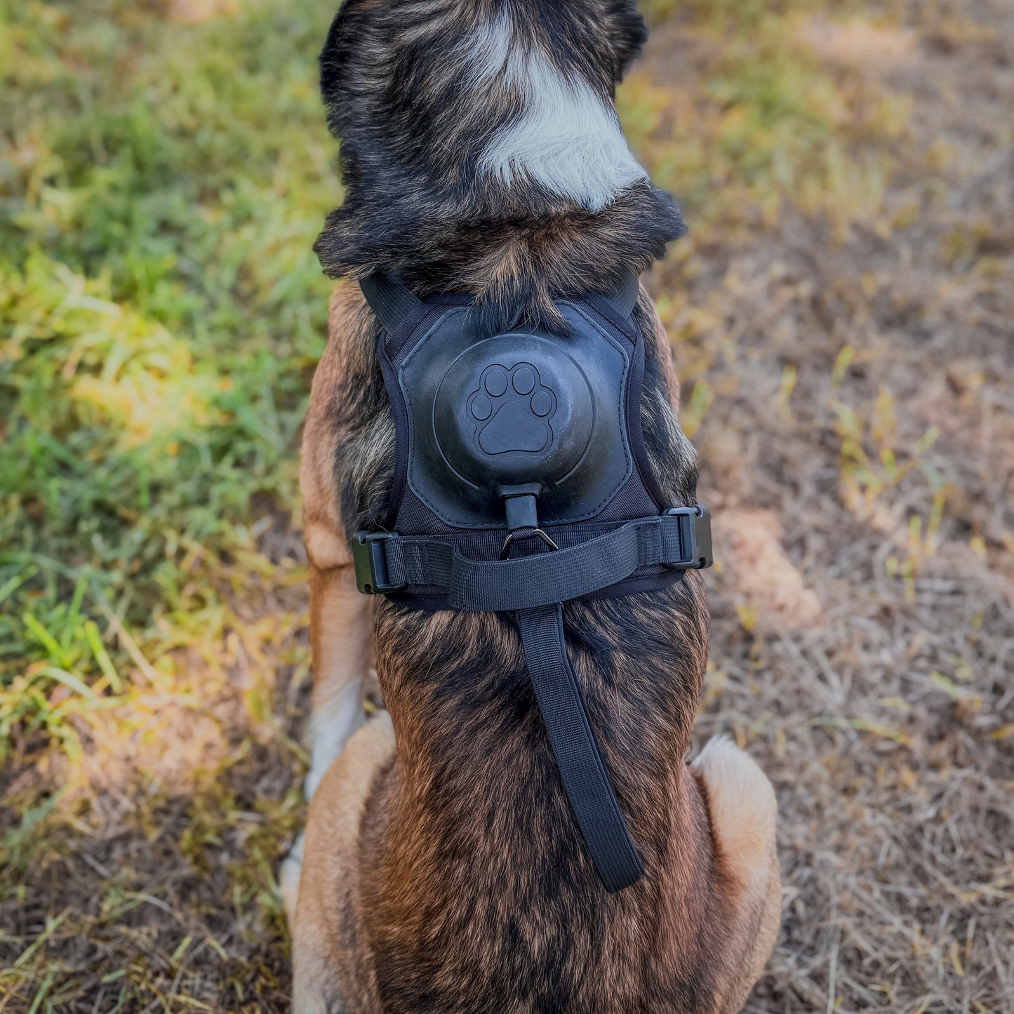 Click & Go™ Harness - Auto-Locking Built-in Lead