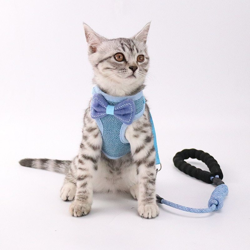 Cat Harness & Leash
