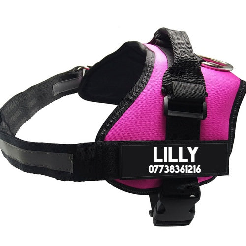 Chest Harness For Dogs