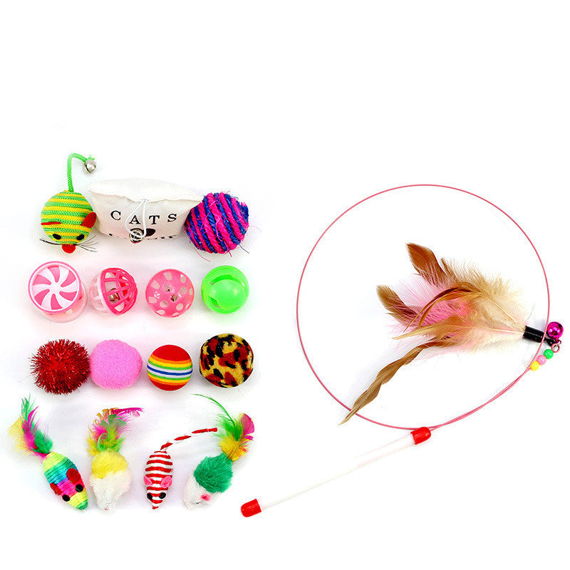 Teaser Cat Toy 14 Piece Set