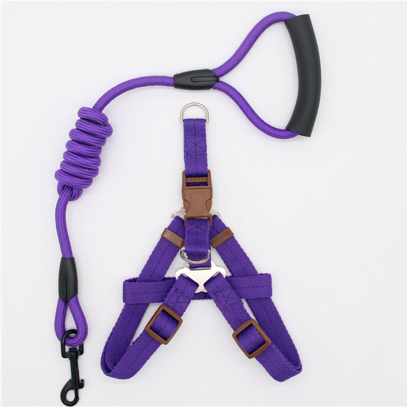 Simple Dog Leash Set