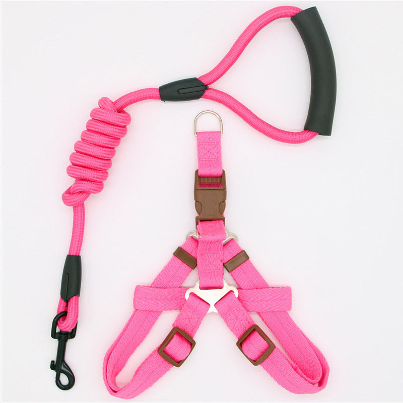 Simple Dog Leash Set