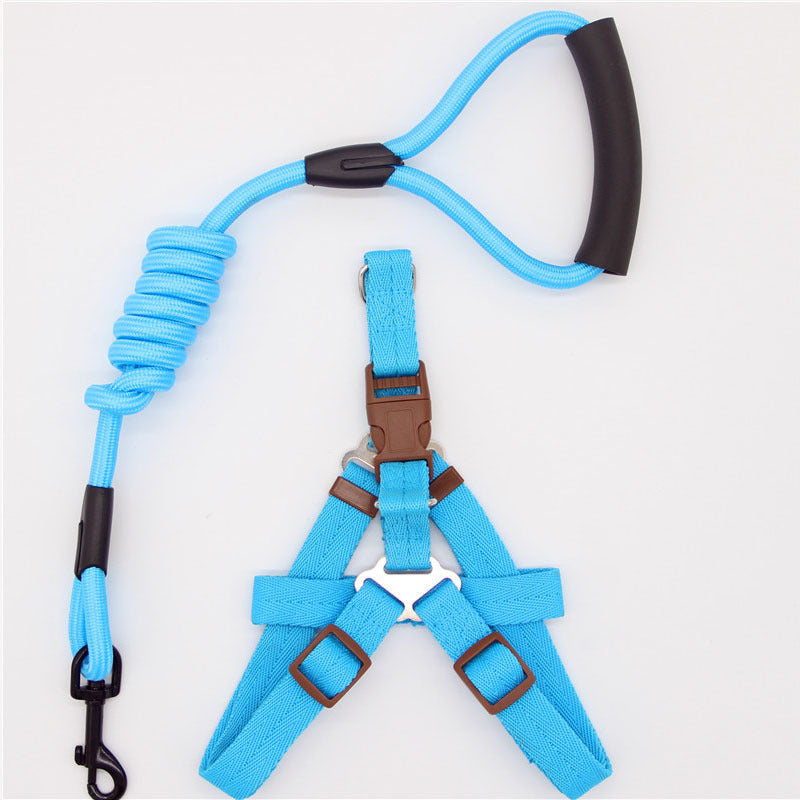 Simple Dog Leash Set