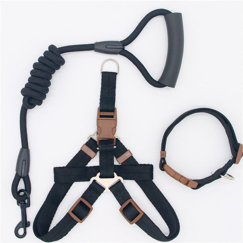 Simple Dog Leash Set