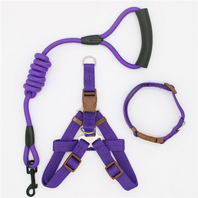 Simple Dog Leash Set