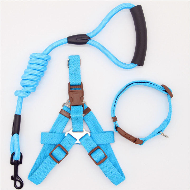 Simple Dog Leash Set