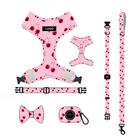 Dog Leash Set
