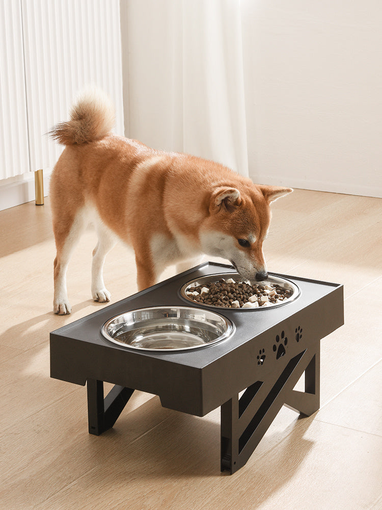 Fashionable Dog Bowl Stand