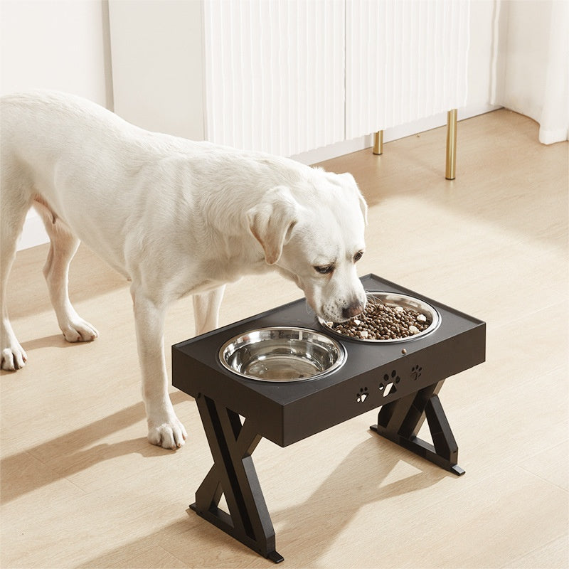 Fashionable Dog Bowl Stand