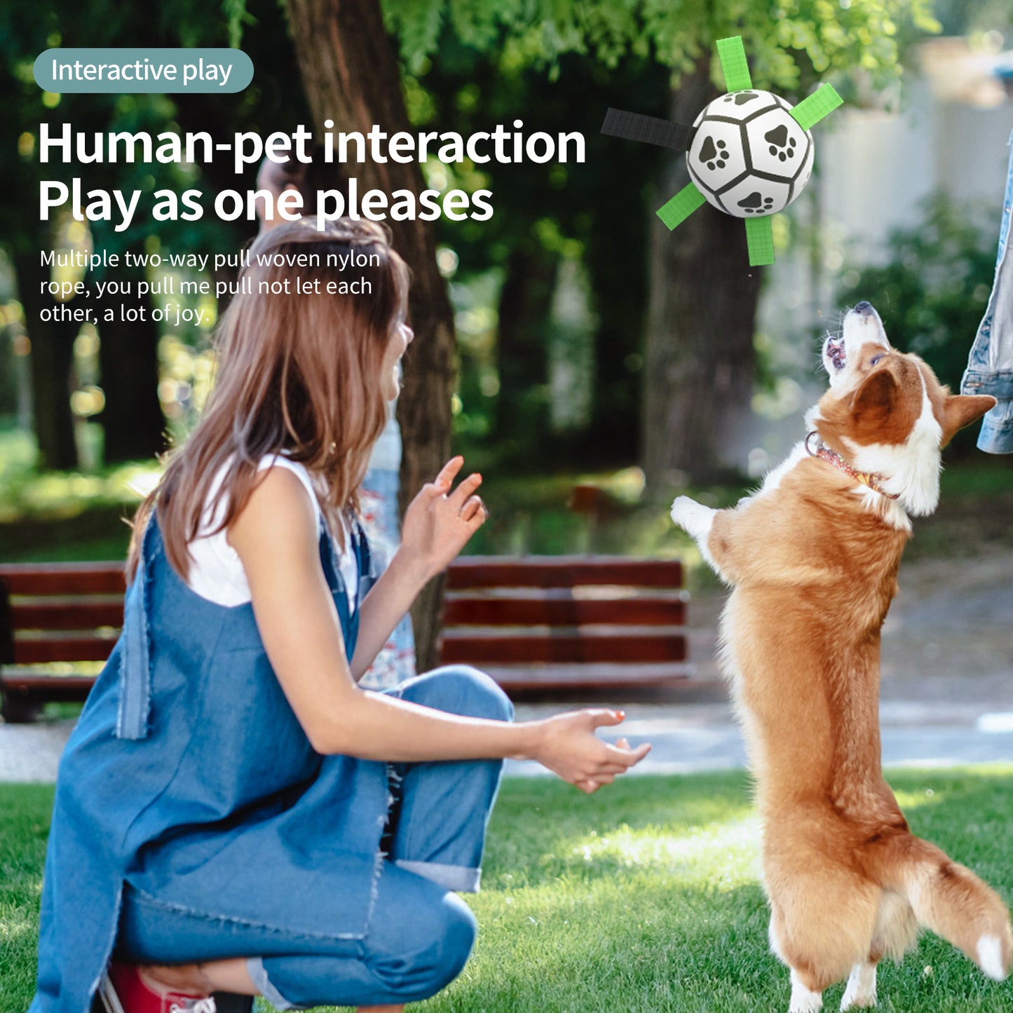 Interactive Dog Football Toy