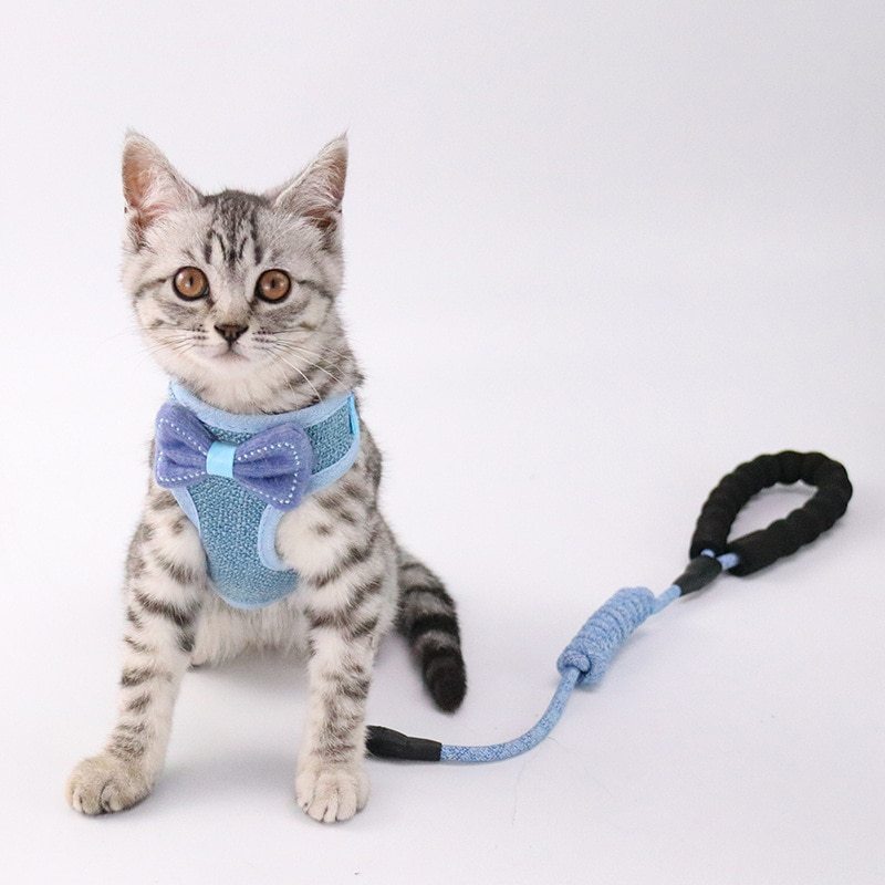 Cat Harness & Leash