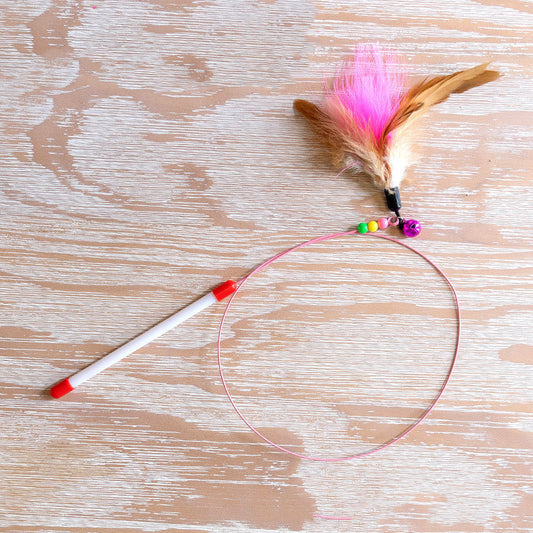 Cat Wand Bite Resistant