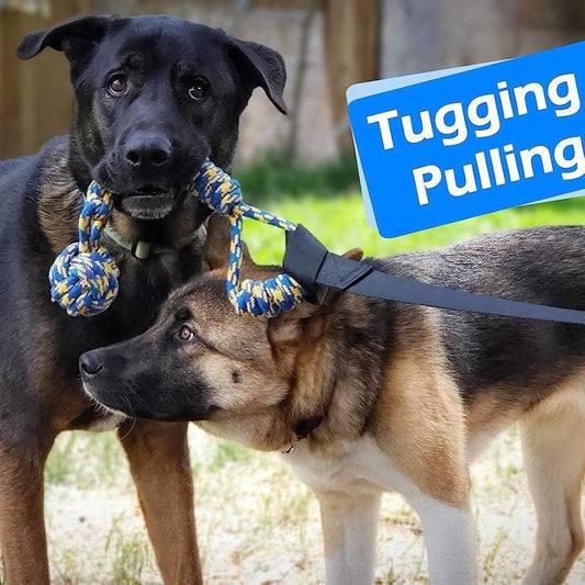 Tug Of War Rope