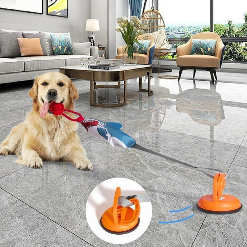 Shark Shaped Interactive Dog Toy With Suction Cup