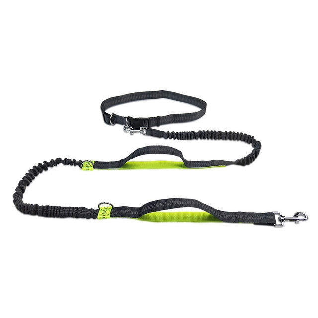 Jogging Adjustable Pet Leash