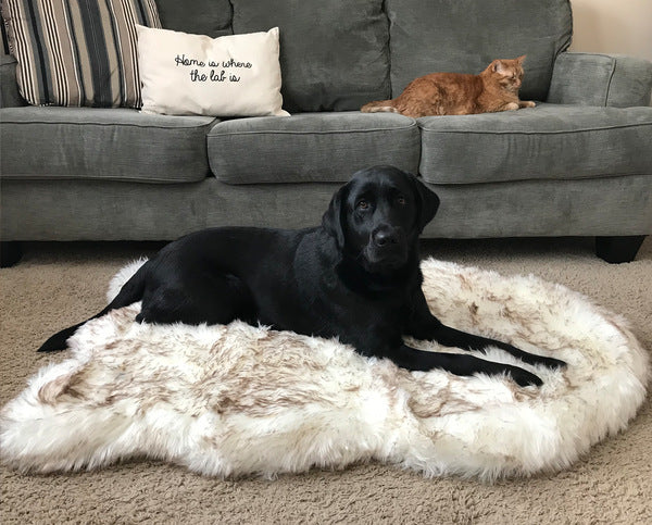 Luxury Dog Bed
