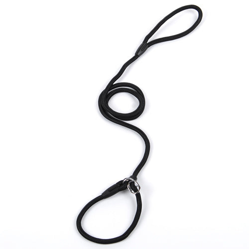 Slip leash