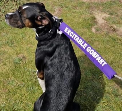 Personalised Dog Lead Sleeve
