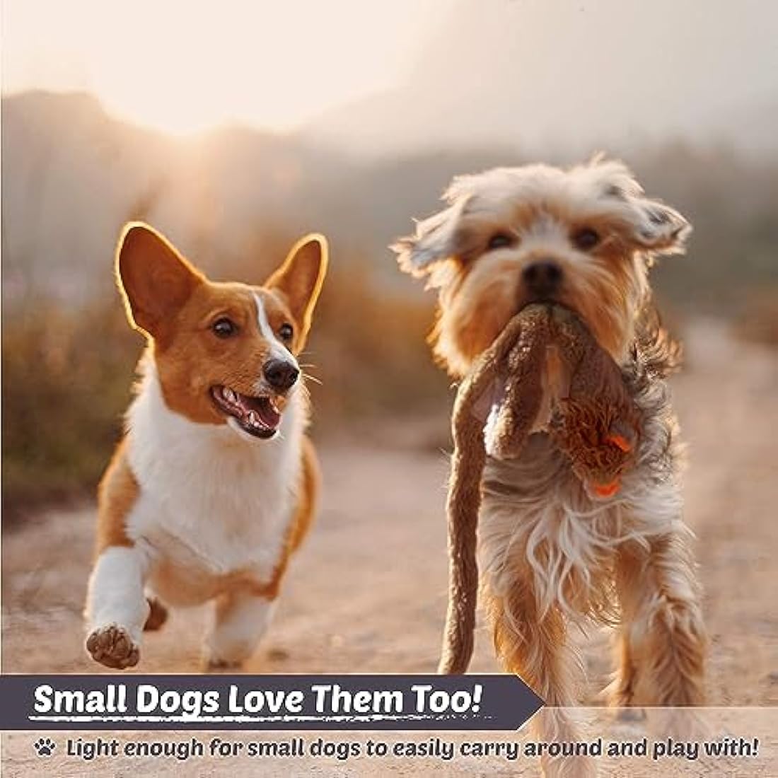 Newthinking No Stuffing Dog Toys 5 Pack, Durable Plush Squeaky Dog Toys Indestructible for Large Medium Small Dogs