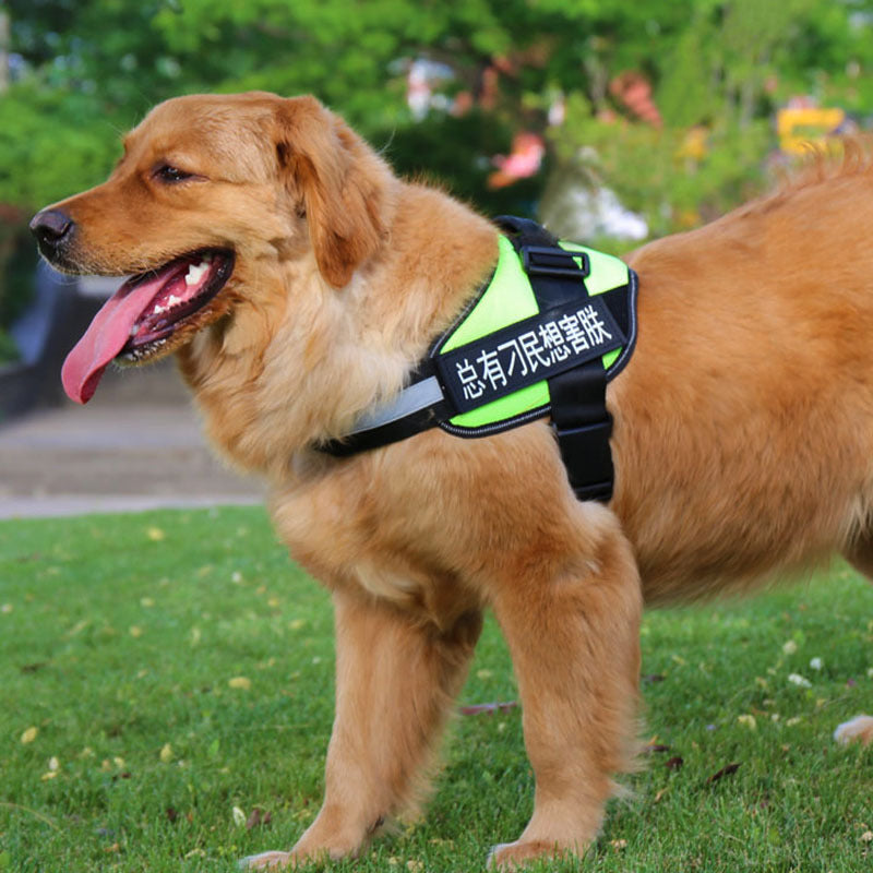Chest Harness For Dogs