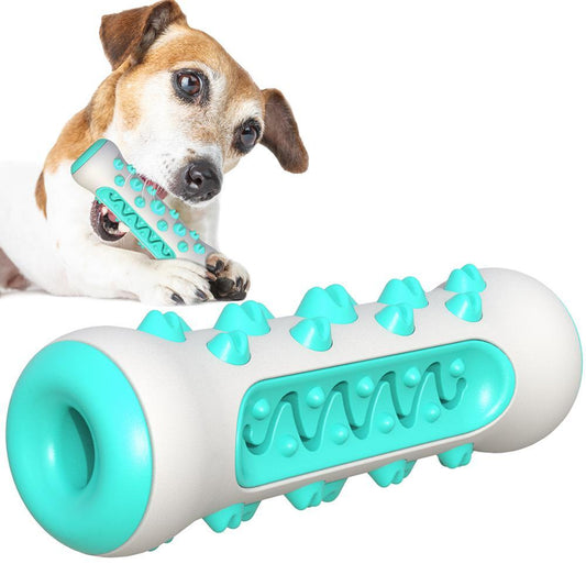 Dog Squeaky Toy