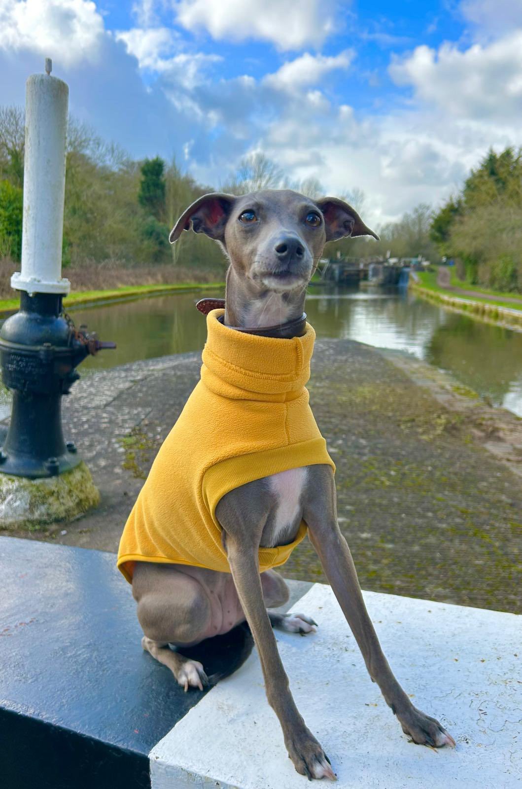 Open-Leg Fleece Vest - Coral