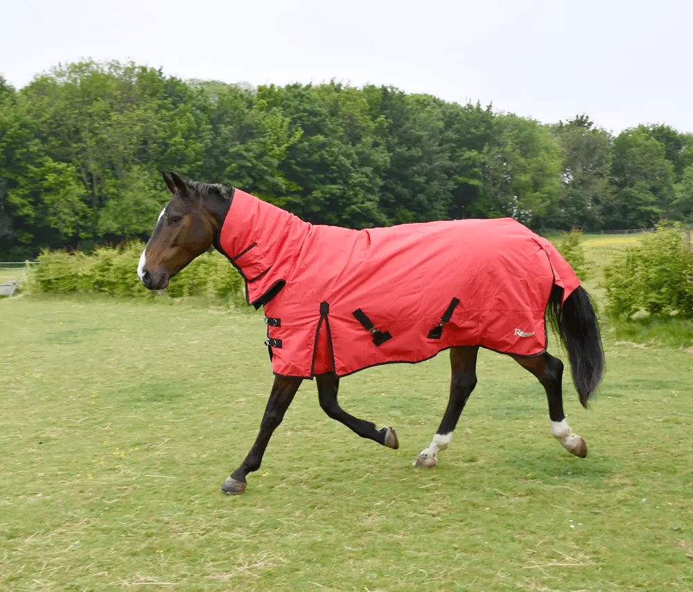 Rhinegold Full Neck Konig Combo Outdoor Rug