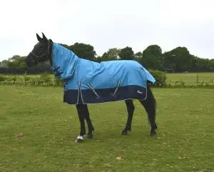 Rhinegold Full Neck Combo Torrent Rug
