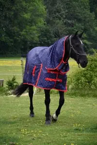 Rhinegold Full Neck Combo Torrent Rug