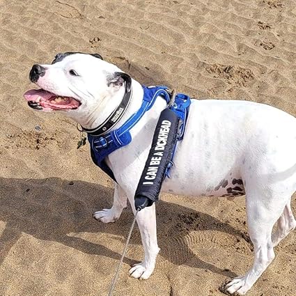 Personalised Dog Lead Sleeve