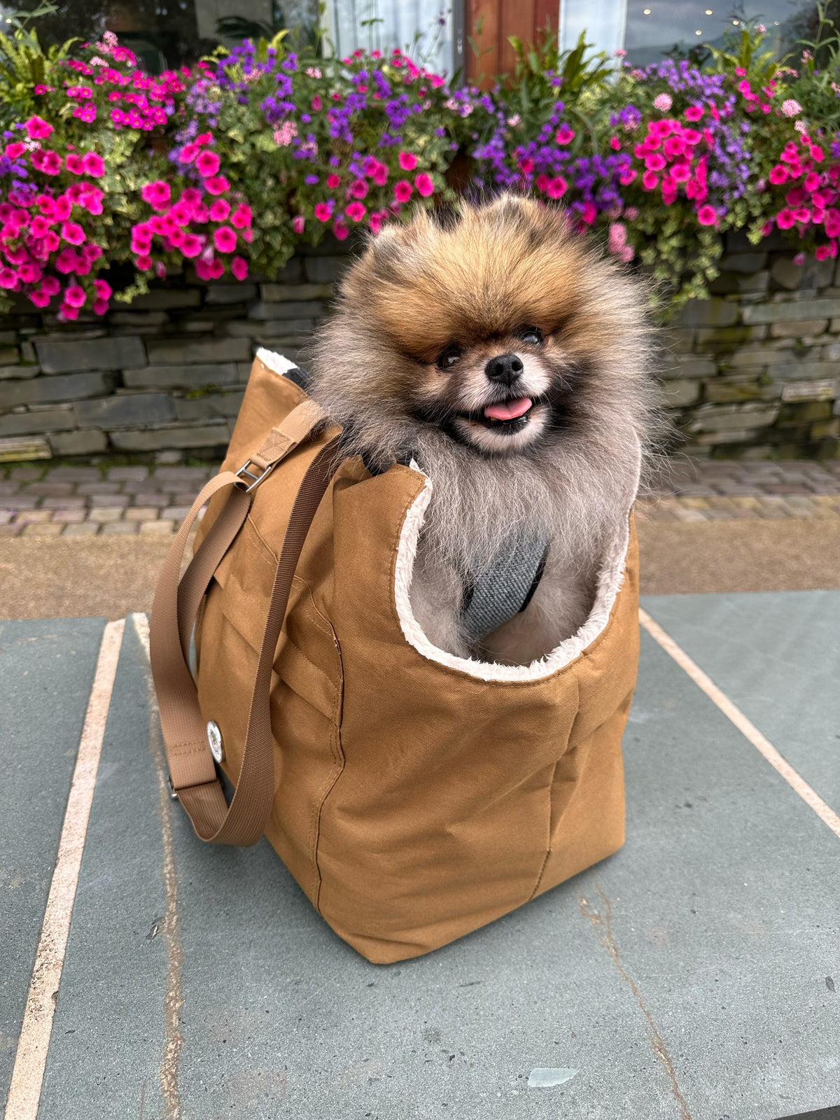 Soho Poms Compton Brown & Cream Pet Carrier - Ideal for Dogs & Cats