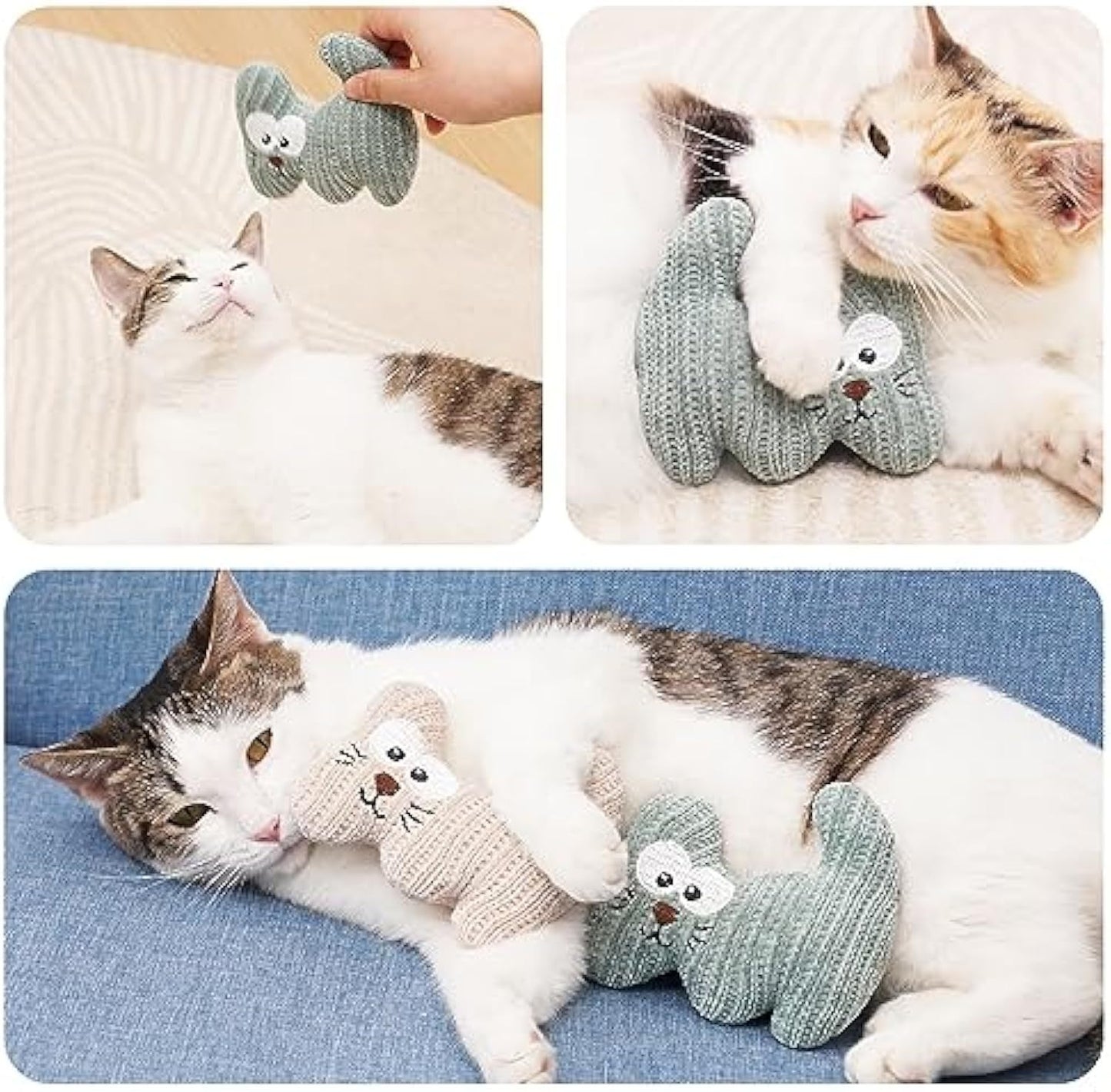Catnip Toy For Cats & Kittens