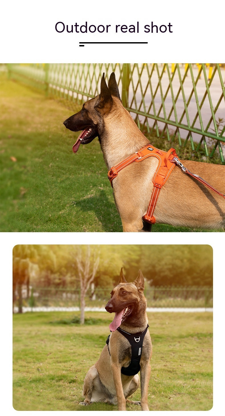 Orange Dog harness - cordura