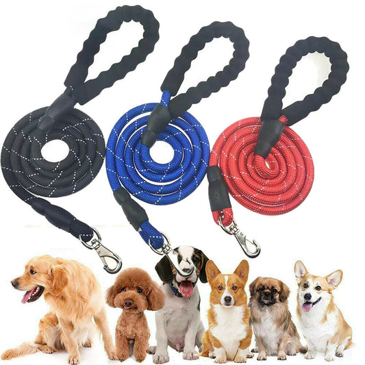 Reflective Nylon Leash