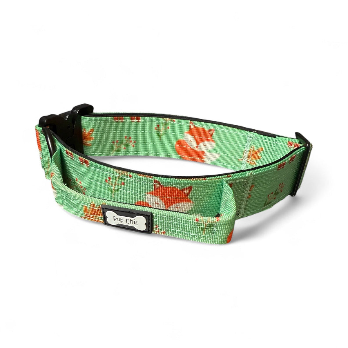 Inquisitive Fox Collar
