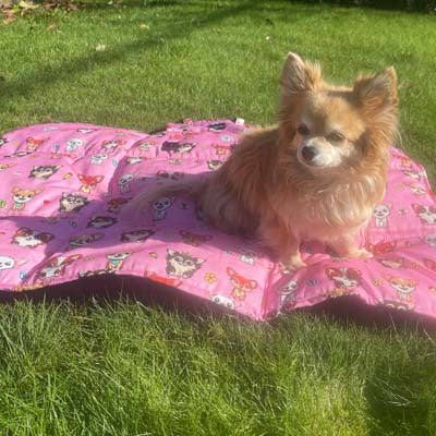 Roll and Go Signature Collection Pink Padded Chihuahua Print Travel Mat by My Chi and Me