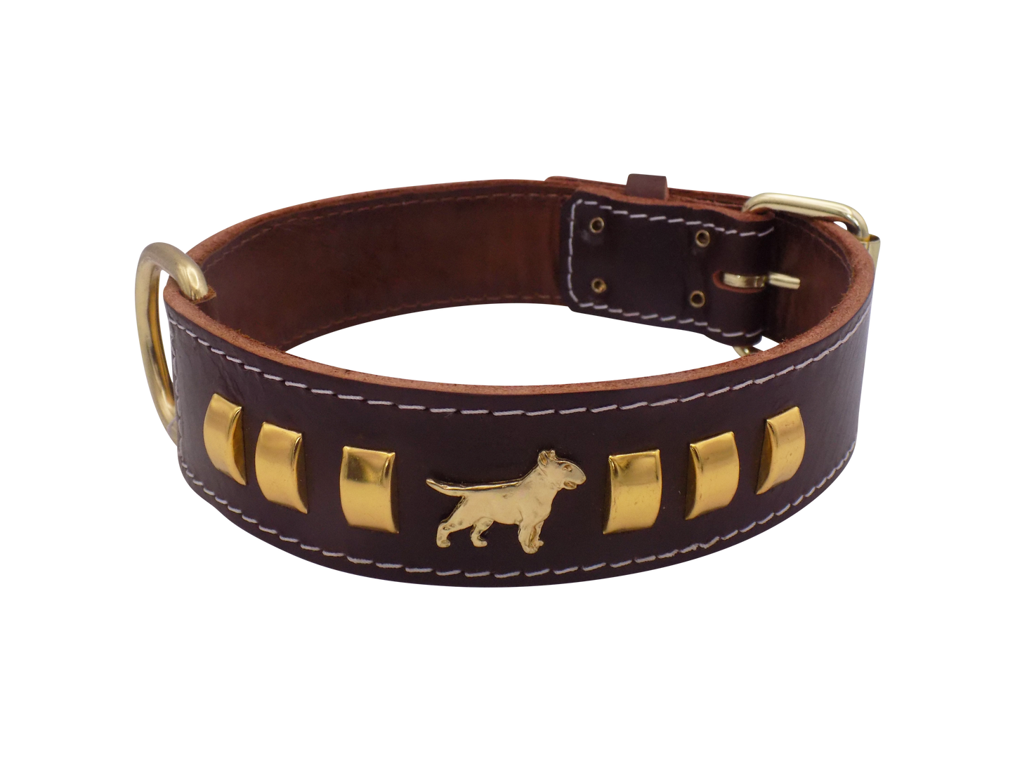 1.5" wide Leather Dog Collar with Decorative Gold Design and English Bull Terrier Badges