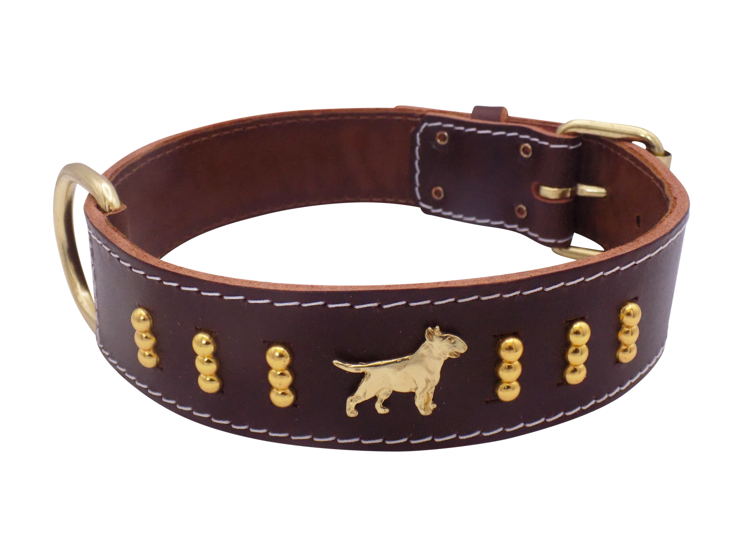 1.5" wide Leather Dog Collar with Decorative Gold Design and English Bull Terrier Badges