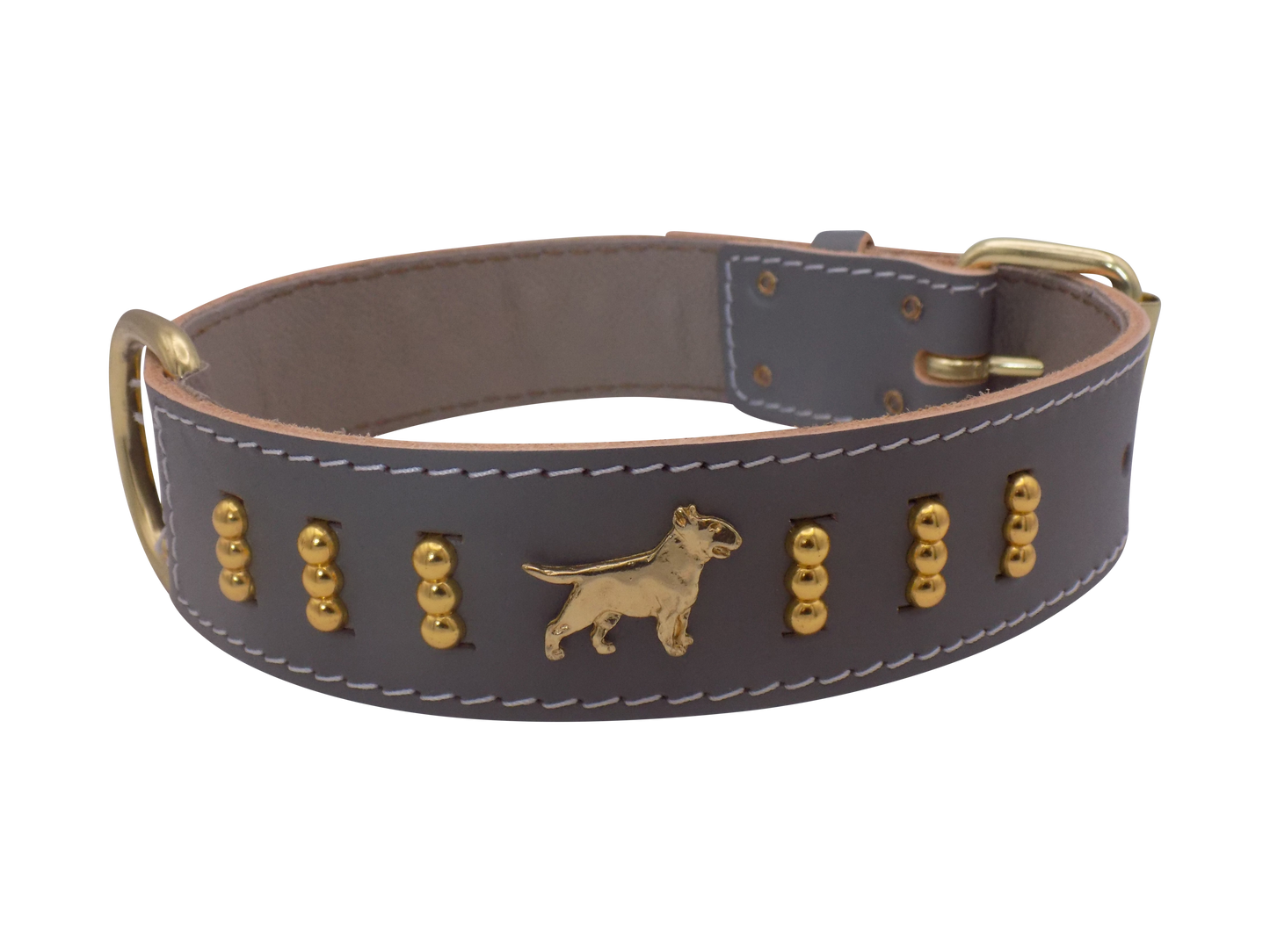 1.5" wide Leather Dog Collar with Decorative Gold Design and English Bull Terrier Badges
