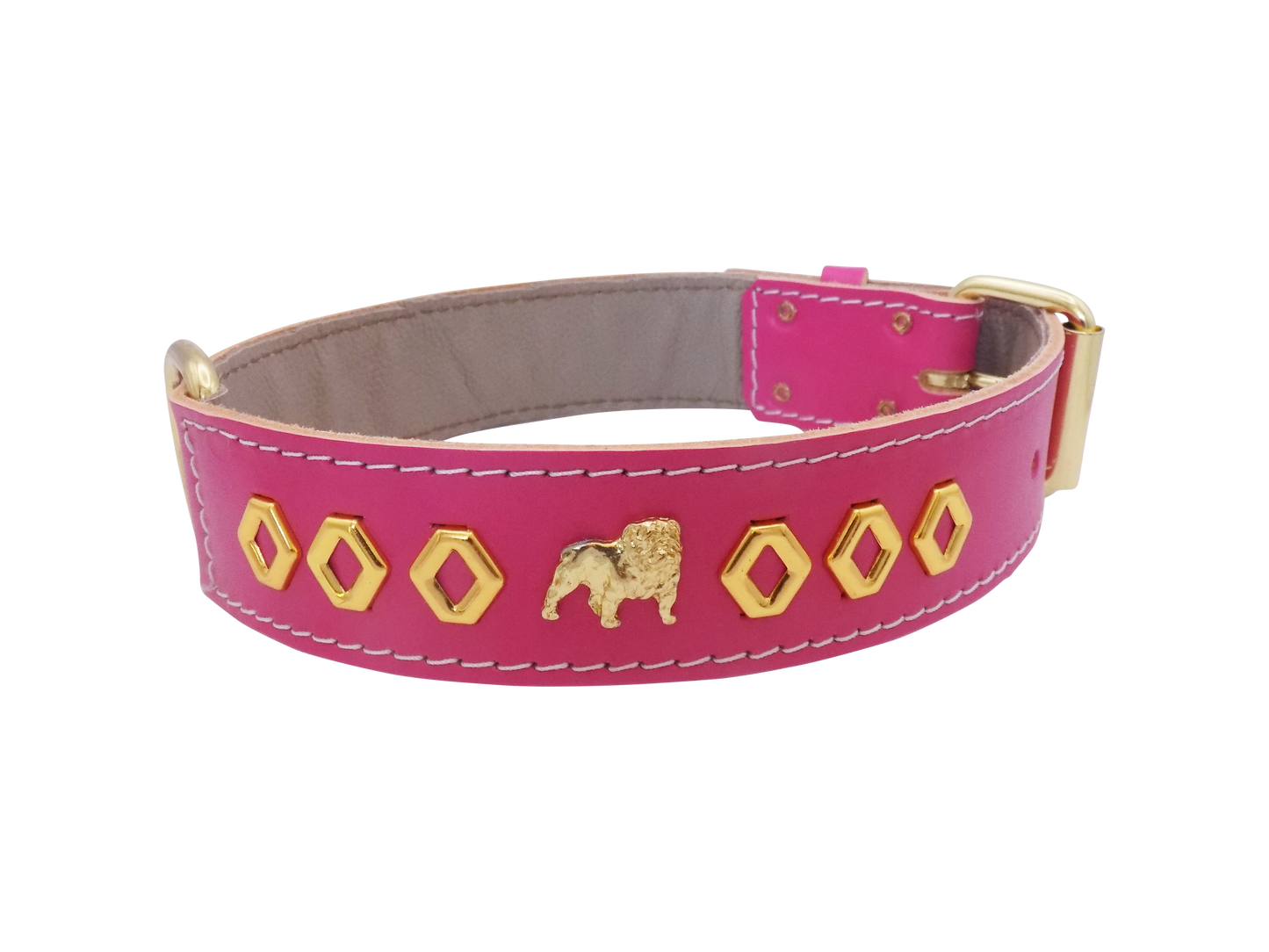 1.5" wide Leather Dog Collar with Unique Gold Design and English Bulldog Badges