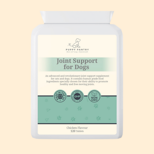 Joint Support Tablets – Chicken (120 Pack)
With glucosamine, chondroitin & MSM for mobility & comfort at all ages