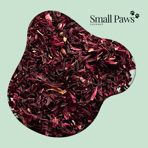 Hibiscus
