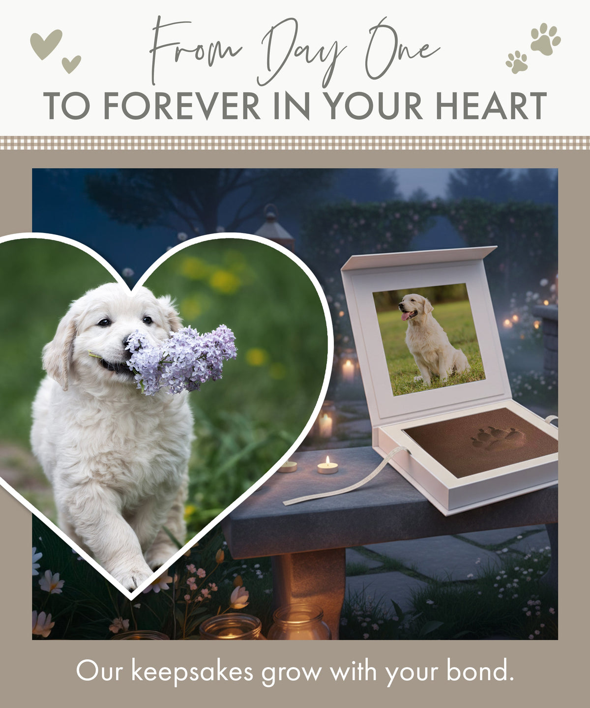 Oh So Precious Paw Pad Impression Kit