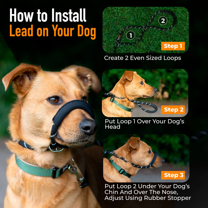 Total Pet Figure 8 Rope Medium/Large Dog Lead Black - RSP £19.99