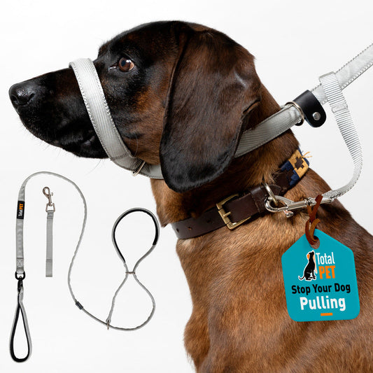 Total Pet Swivel Flat Figure 8 Dog Lead 210cm - RSP £23.99