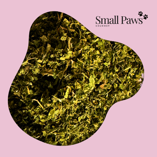 Nettle