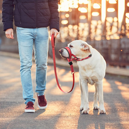 Muzzle Leash