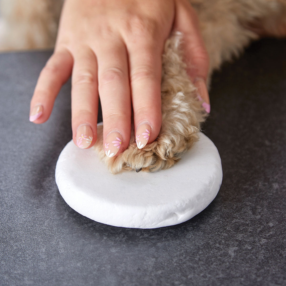 Pet Paw Print Clay Impression Tin