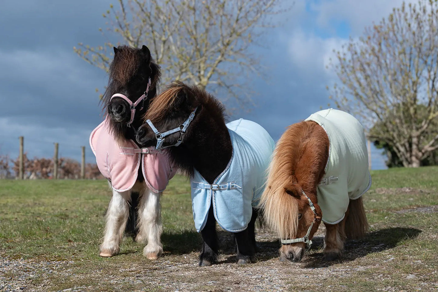 Rhinegold Mini Sorbet Fleece